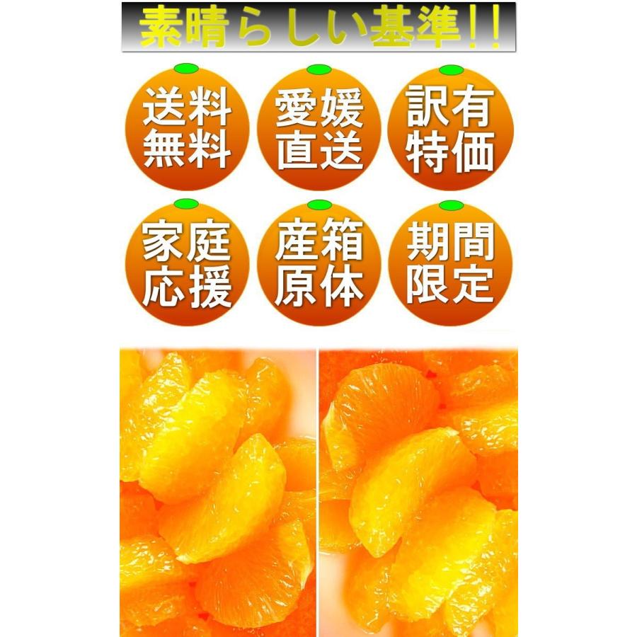 農家直送！愛果28号→家庭用5kg✖️2箱 農家直送！愛果28号→家庭用5kg×2箱