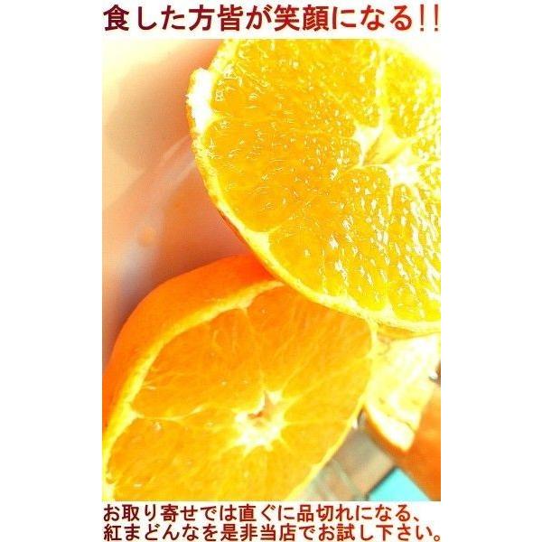 産地直送 媛まどんな 約5kg あいか28号 サイズ混合 訳あり 愛媛県産