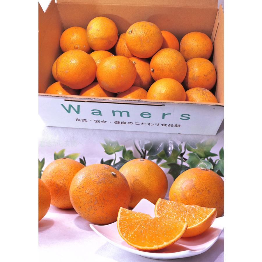 媛まどんな 約2.5kg S〜Lサイズ 愛媛県産 訳あり品 紅まどんなと同一