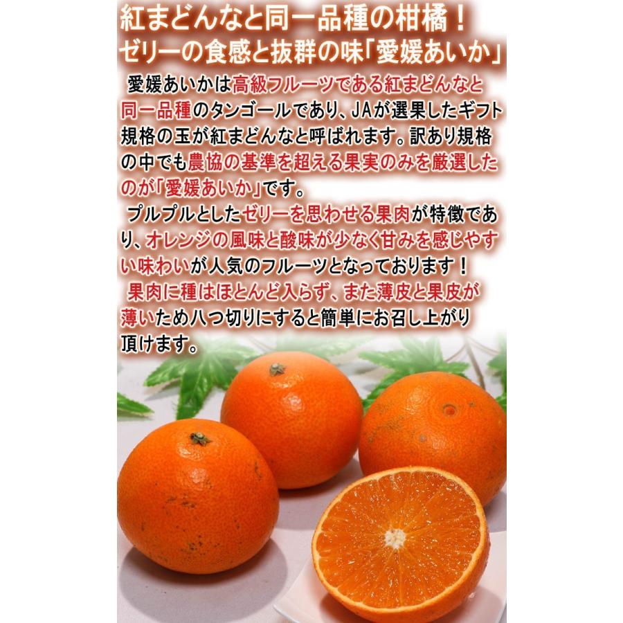 898愛果 まどんな 家庭用 10kg 898愛果 まどんな 家庭用 10kg 【公式通販】