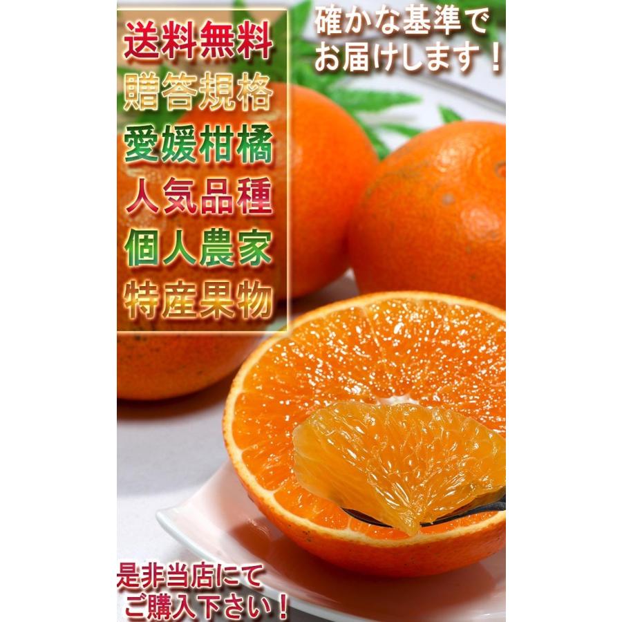 愛媛あいか 約5kg 14〜24玉入り 愛媛県産 贈答規格 個人農家産 紅ま