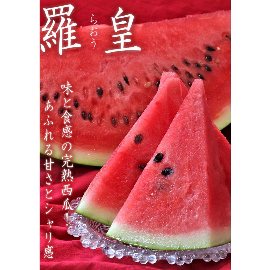 羅皇 らおう 完熟スイカ 約8〜10kg 4Lサイズ中心 1玉入り 熊本県産