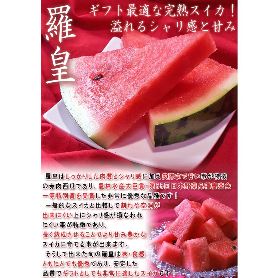 羅皇 らおう 完熟スイカ 約8〜10kg 4Lサイズ中心 1玉入り 熊本県産