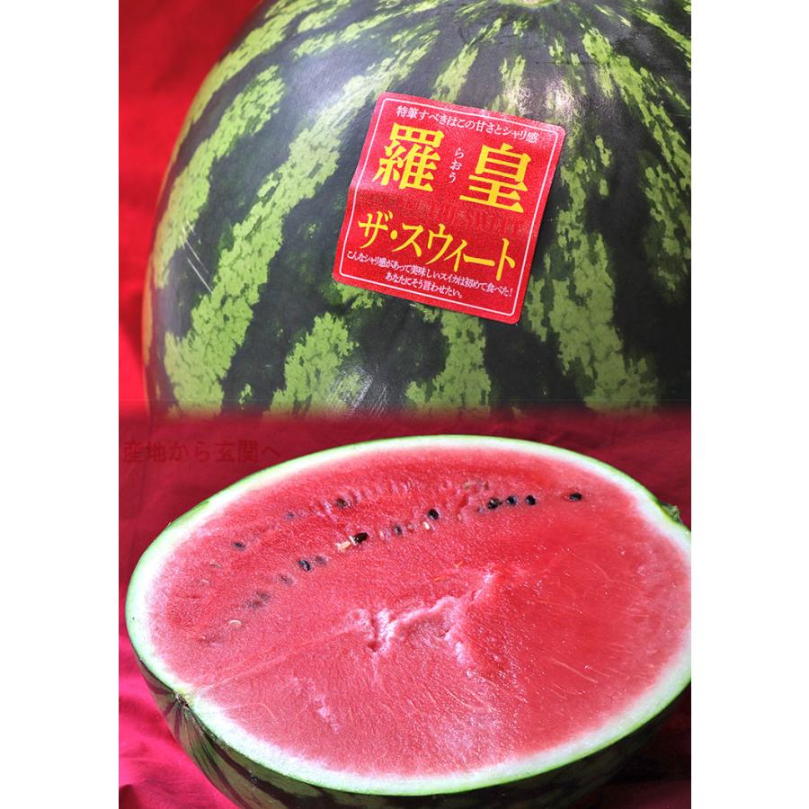 羅皇 らおう 完熟スイカ 約8〜10kg 4Lサイズ中心 1玉入り 熊本県産