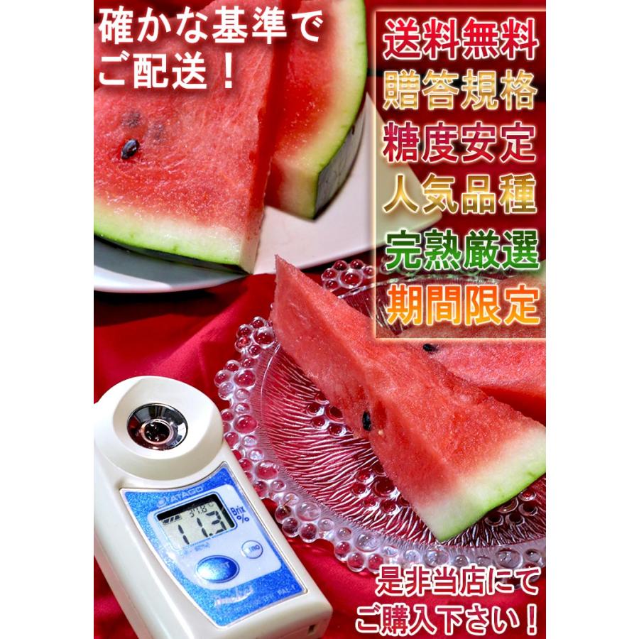 羅皇 らおう 完熟スイカ 約8〜10kg 4Lサイズ中心 1玉入り 熊本県産