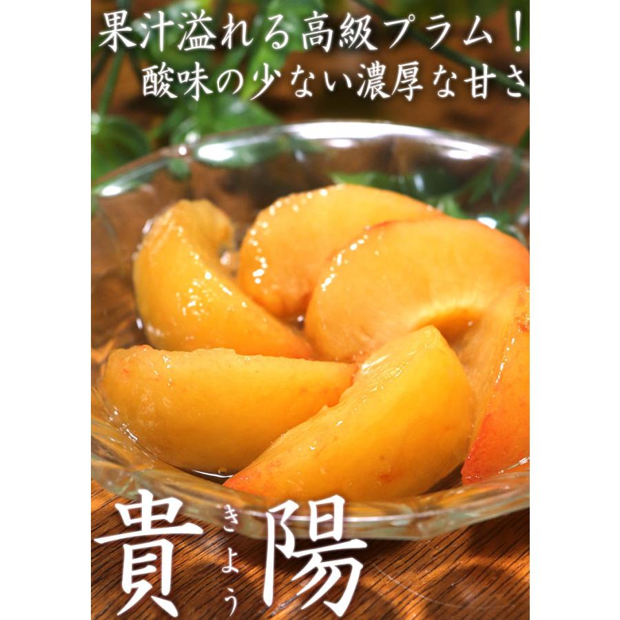 貴陽 きよう 厳選高級プラム 化粧箱入り 約1.8kg 6〜10玉 山梨県産 