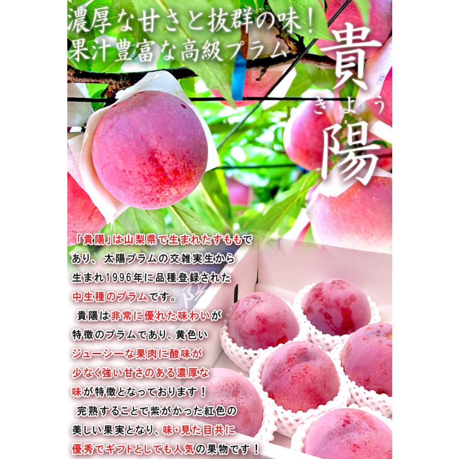 貴陽 きよう 厳選高級プラム 化粧箱入り 約1.8kg 6〜10玉 山梨県産 贈答品 大玉中心 実測糖度17度以上！お中元に最適な味わい抜群の ...