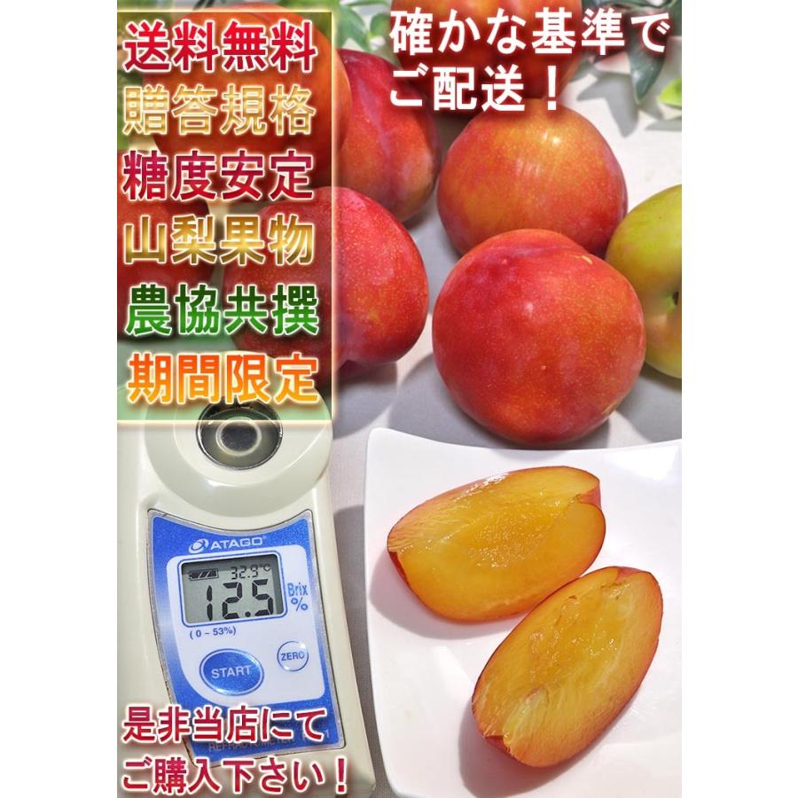 新鮮プラム 5キロ 楽天市場】【がんばろう！福島】【送料込み】加工用 プラム