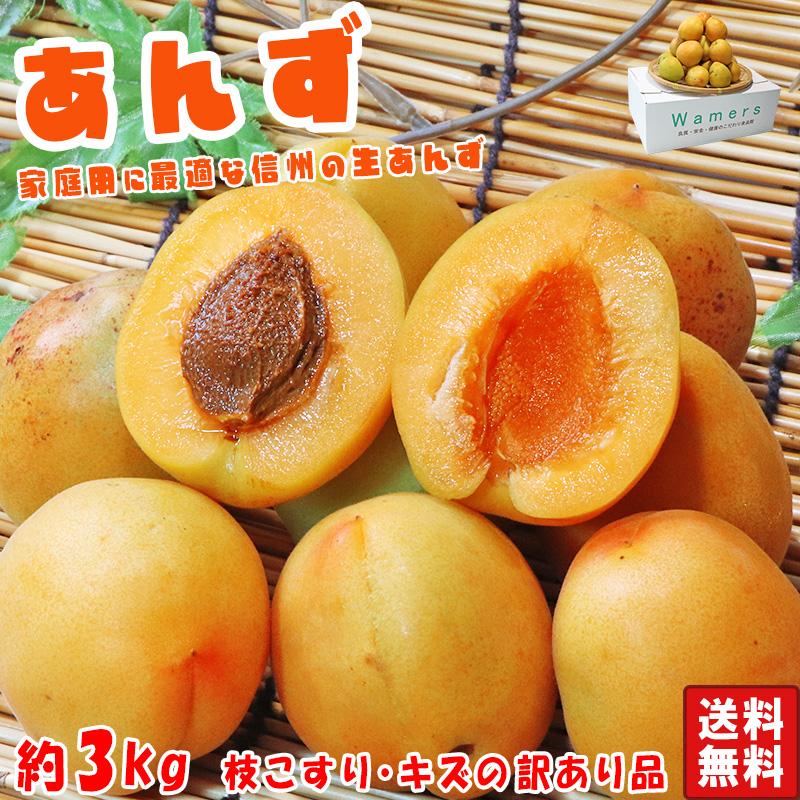 生あんず 約3kg 訳あり 長野・青森県産 甘酸っぱく濃厚な味わいの生