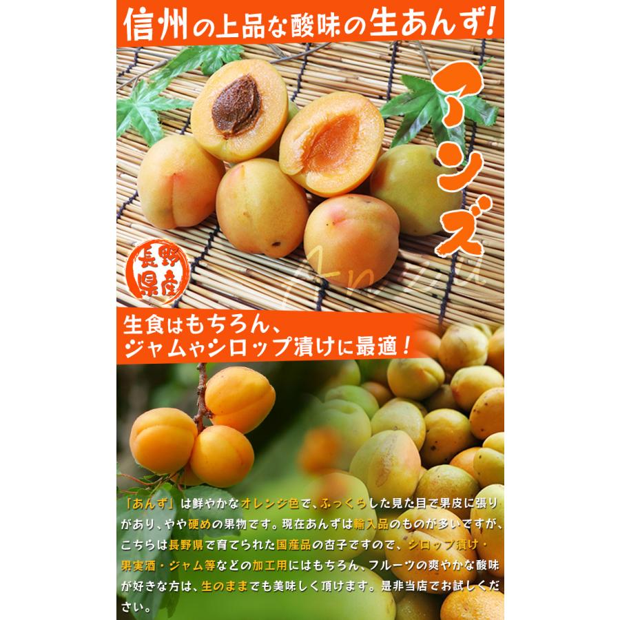生あんず 約3kg 訳あり 長野・青森県産 甘酸っぱく濃厚な味わいの生