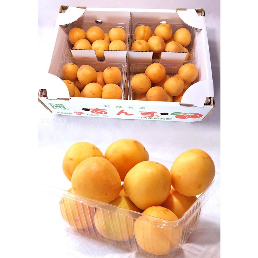 生あんず 杏 約500g×4パック M〜2Lサイズ 長野県産 JA共撰品 ジャム
