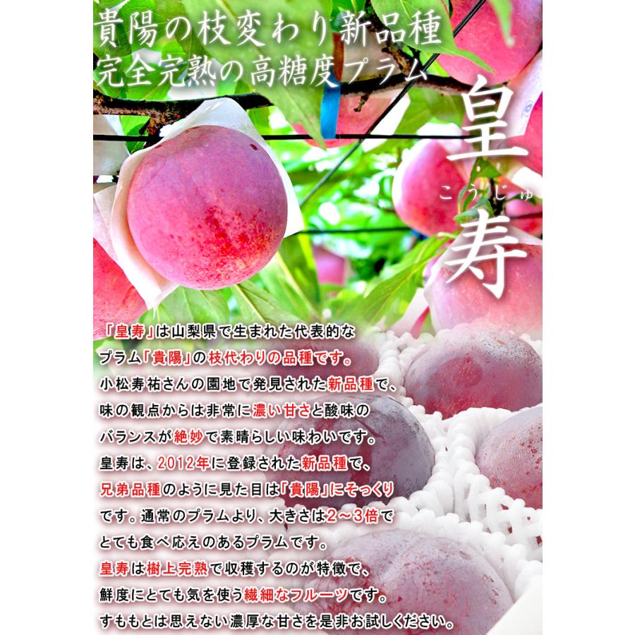 新鮮 プラム 多数 すもも　5キロ 新鮮 プラム 多数 すもも 5キロ 新鮮 プラム 多数 すもも 5キロ すもも