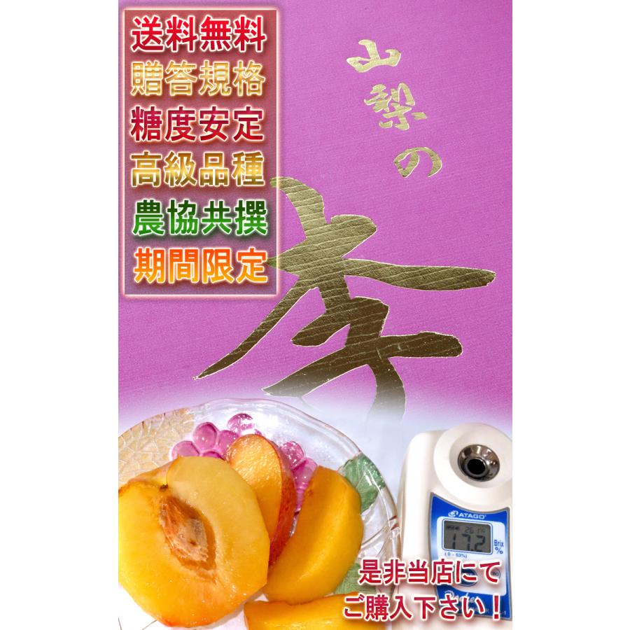 山梨オリジナル品種♡高級プラム♡皇寿♡３Ｌサイズ♡８パック♡箱込５kg以上♡ 皇寿 こうじゅ 約1.8kg 6〜8玉 極上プラム 化粧箱入り 山梨県産 贈答品