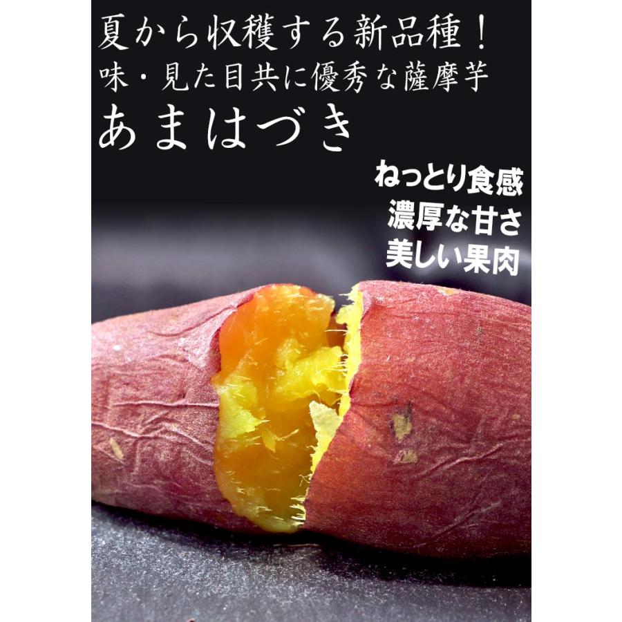 あまはづき さつまいも 約5kg サイズ混合 千葉県産 訳あり品 新品種の