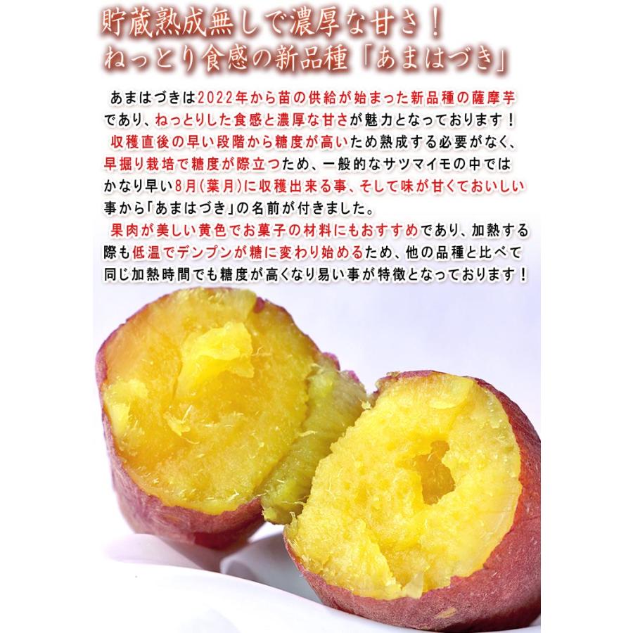 あまはづき さつまいも 約5kg サイズ混合 千葉県産 訳あり品 新品種の