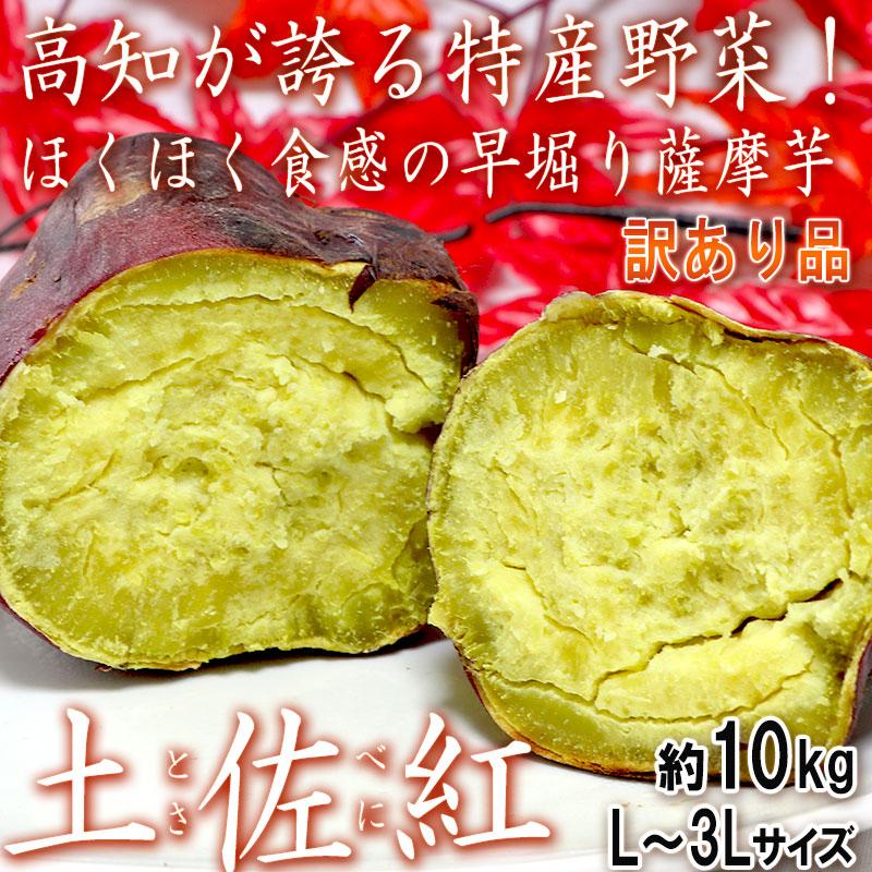 土佐紅 とさべに 早堀りさつまいも 約10kg L〜3Lサイズ 高知県産 訳
