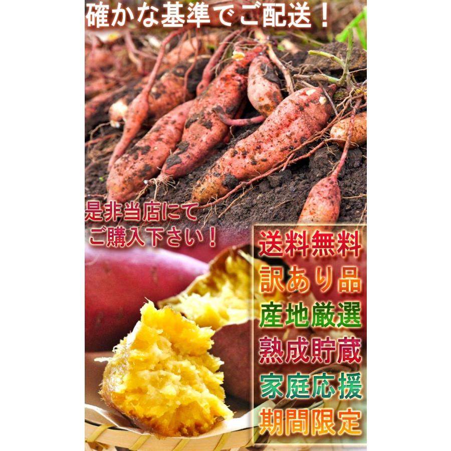 紅あずま・紅はるか・紅ゆうか 紅まさり さつまいも 約10kg 千葉 紅あずま・紅はるか・紅ゆうか 紅まさり さつまいも 約10kg 千葉