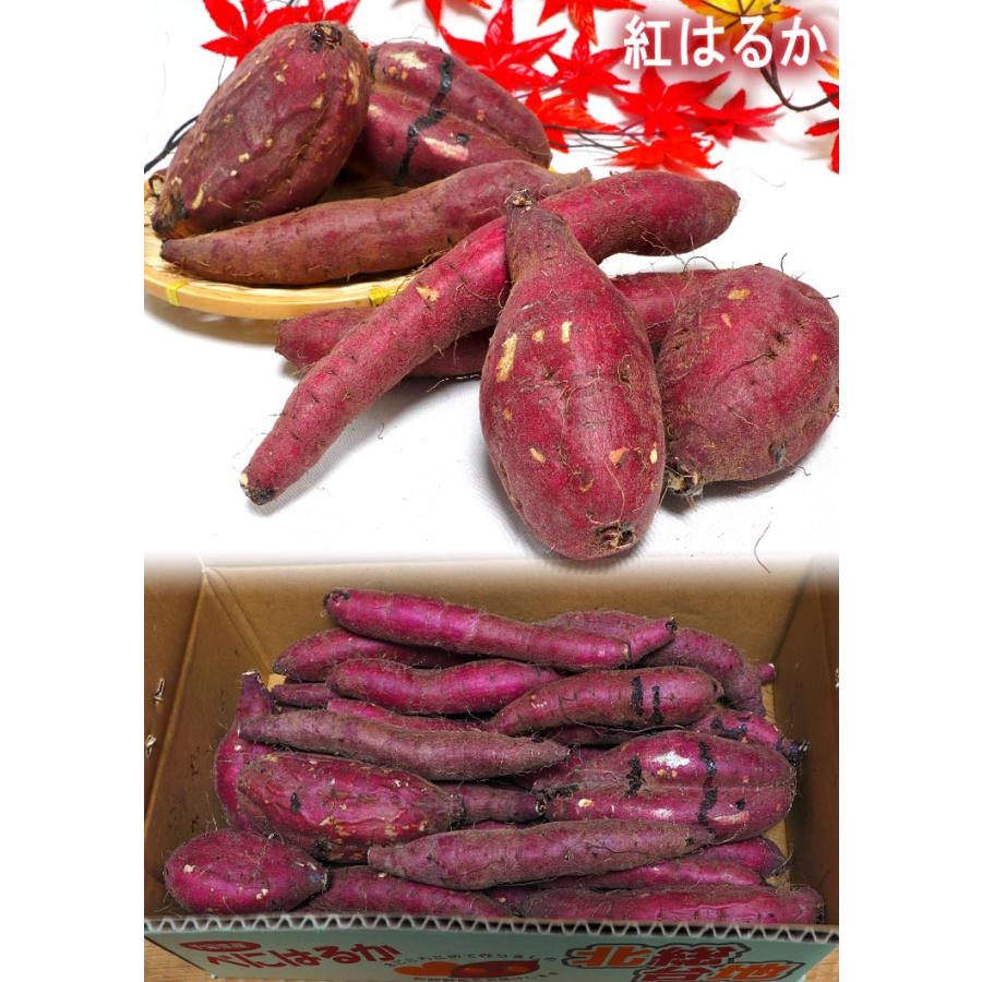 紅あずま・紅はるか・紅ゆうか 紅まさり さつまいも 約5kg 千葉県・茨城県産 訳あり品 濃厚な味と栄養豊富な旬の野菜！甘み溢れる薩摩芋をお届け｜wamers｜04