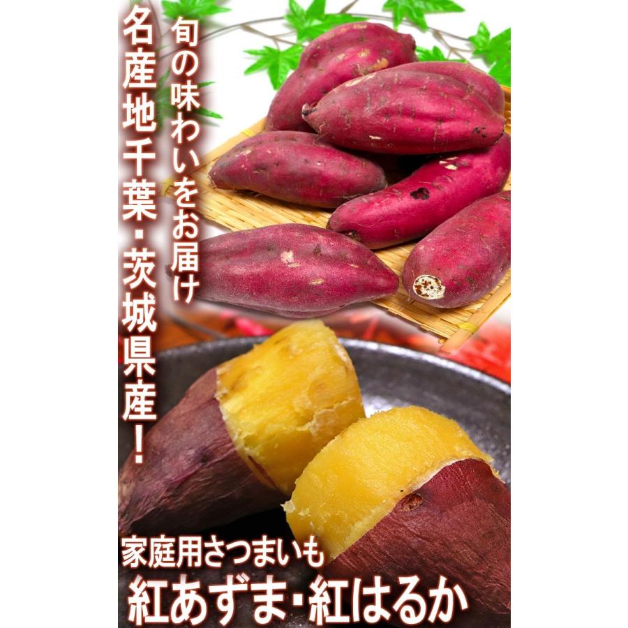 紅はるか 約2.5kg 千葉県・茨城県産 訳あり品 濃厚な味と栄養豊富な旬