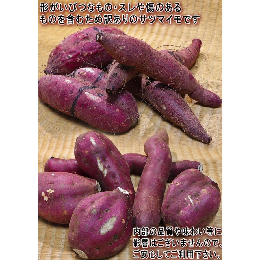 紅はるか 約2.5kg 千葉県・茨城県産 訳あり品 濃厚な味と栄養豊富な旬