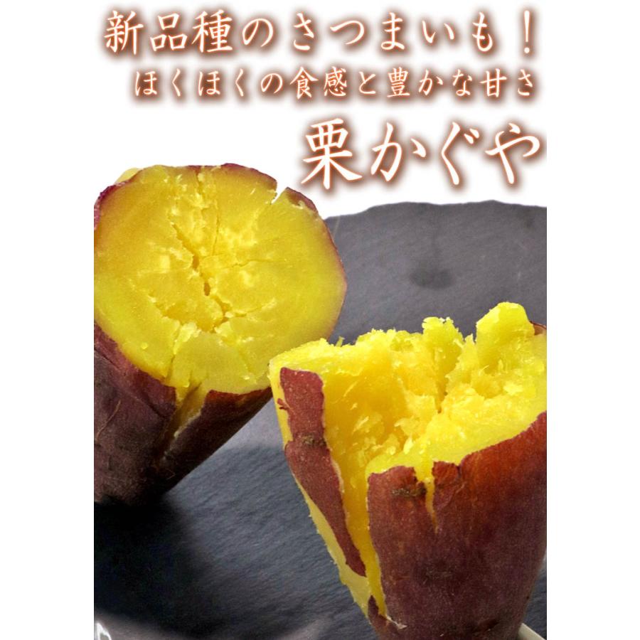 栗かぐや 特大さつまいも 約5kg L〜3Lサイズ 千葉・茨城県産 栗かぐや 特大さつまいも 約5kg L〜3Lサイズ 千葉・茨城県産