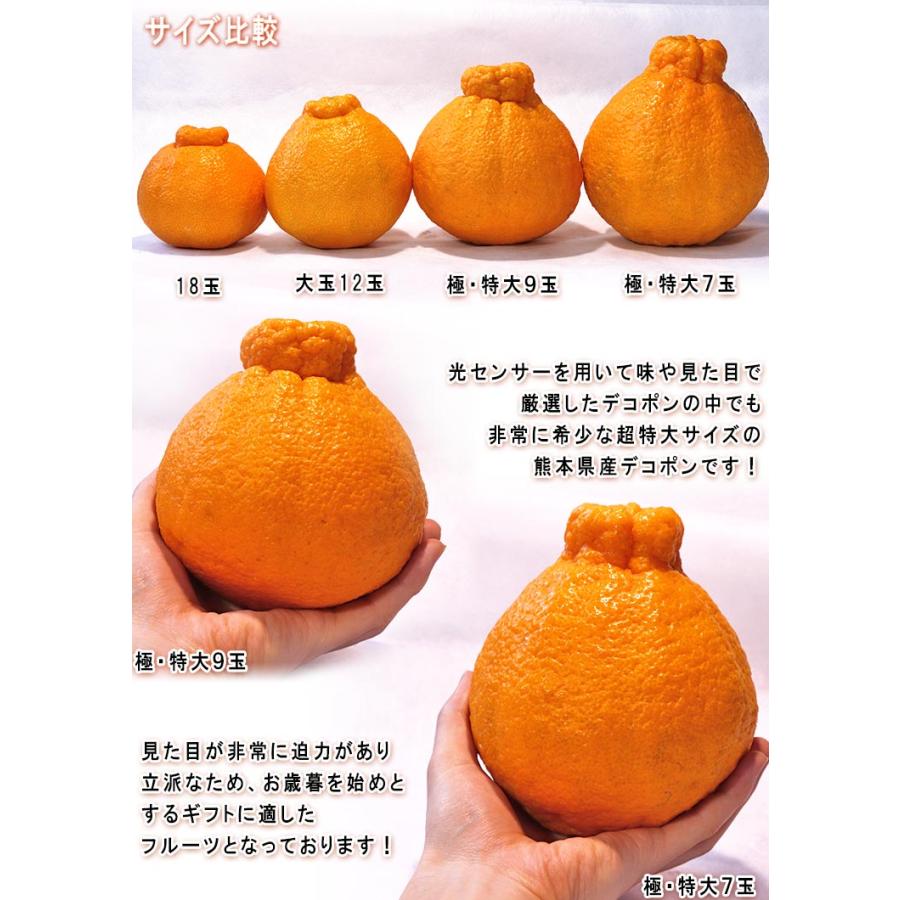 デコポン 極実・特大 約5kg 7〜9玉 熊本県産 贈答規格 JA デコポン 極実・特大 約5kg 7〜9玉 熊本県産 贈答規格 JA