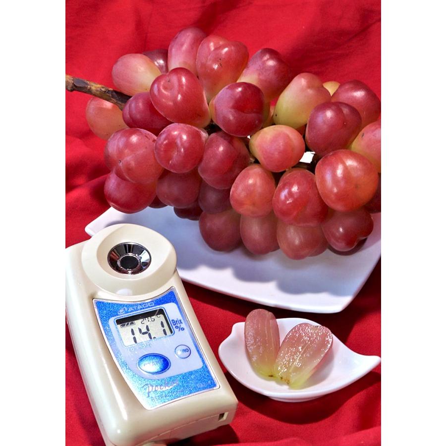 マイハート 希少品種 高級ぶどう 約1.2〜1.5kg 2房 山梨県産