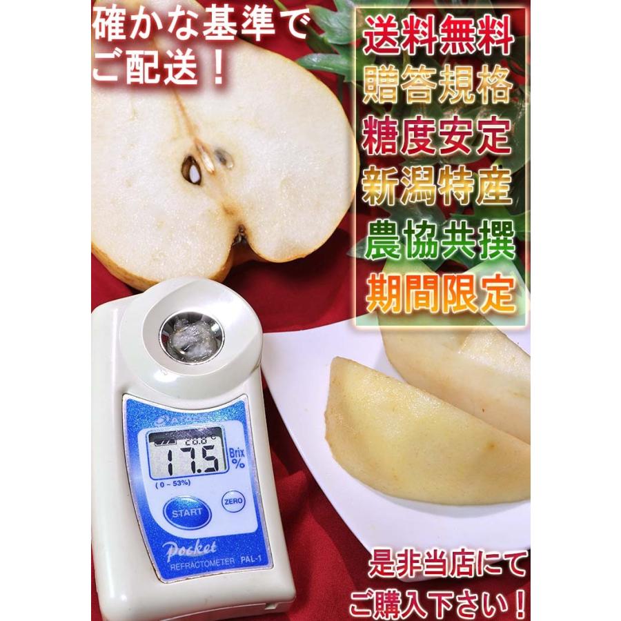ル・レクチェ 西洋梨 約2kg 6〜8玉 新潟県産 贈答品 化粧箱入り ギフト最適な特産品のフルーツ！抜群の味わいにとろける食感