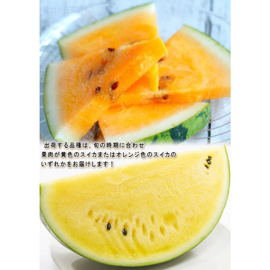 柘榴とスイカ 千葉県産 JAちばみどり 銚子の黒皮スイカ ブラックジャック 4L