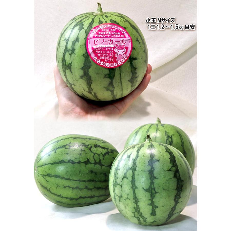 2ピノガール茨城県産訳あり家庭用4玉計約　4キロ箱込すり傷あり空洞あるかも ピノ・ガール 小玉スイカ 約3〜4kg 2〜4玉 茨城県産 贈答規格 タネごと