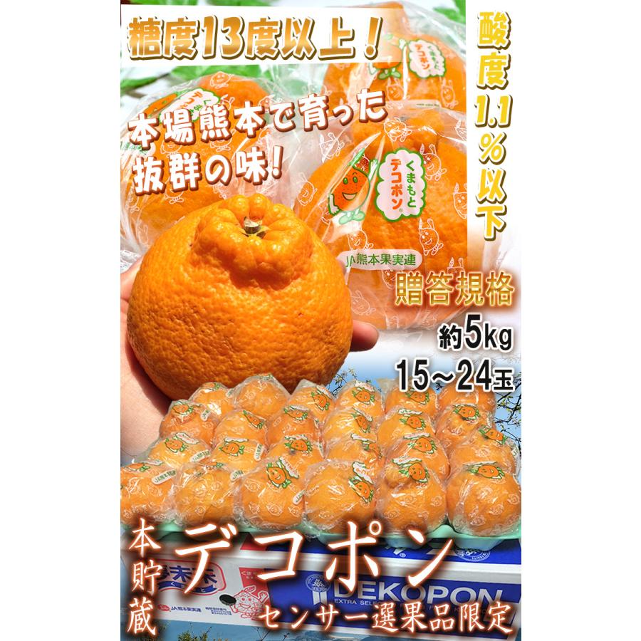 本貯蔵デコポン しらぬい 約5kg 15〜24玉 熊本県産 贈答規格 JA熊本
