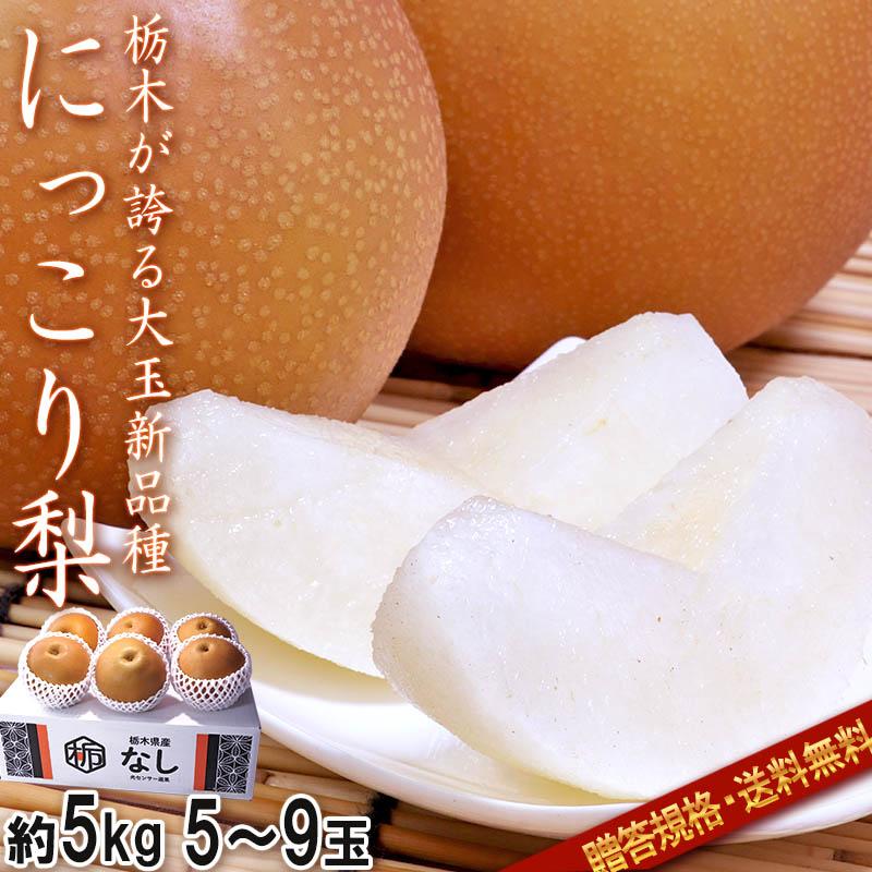 にっこり梨 約5kg 5〜9玉 贈答規格 栃木県産 大玉限定 秀品〜優品 JA共