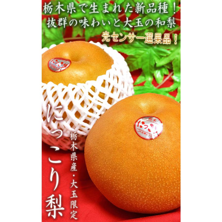 にっこり梨 約5kg 5〜9玉 贈答規格 栃木県産 大玉限定 秀品〜優品 JA共
