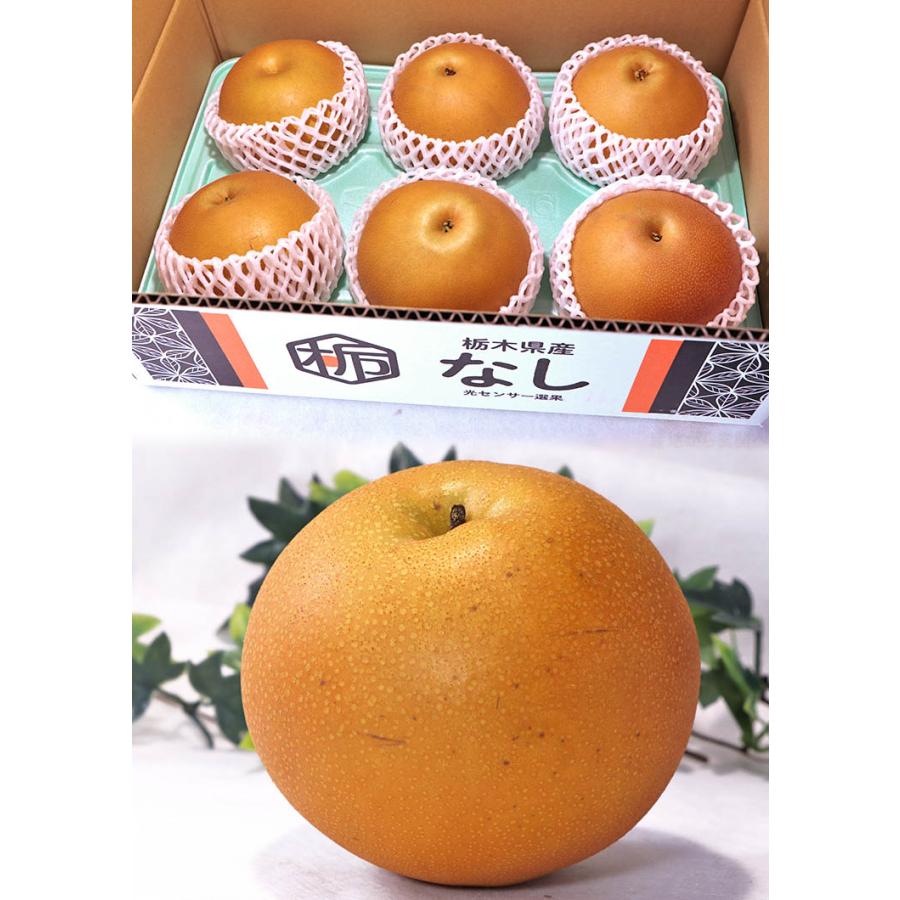 特大 にっこり梨 5kg 5玉入り✖️2箱 【公式通販】