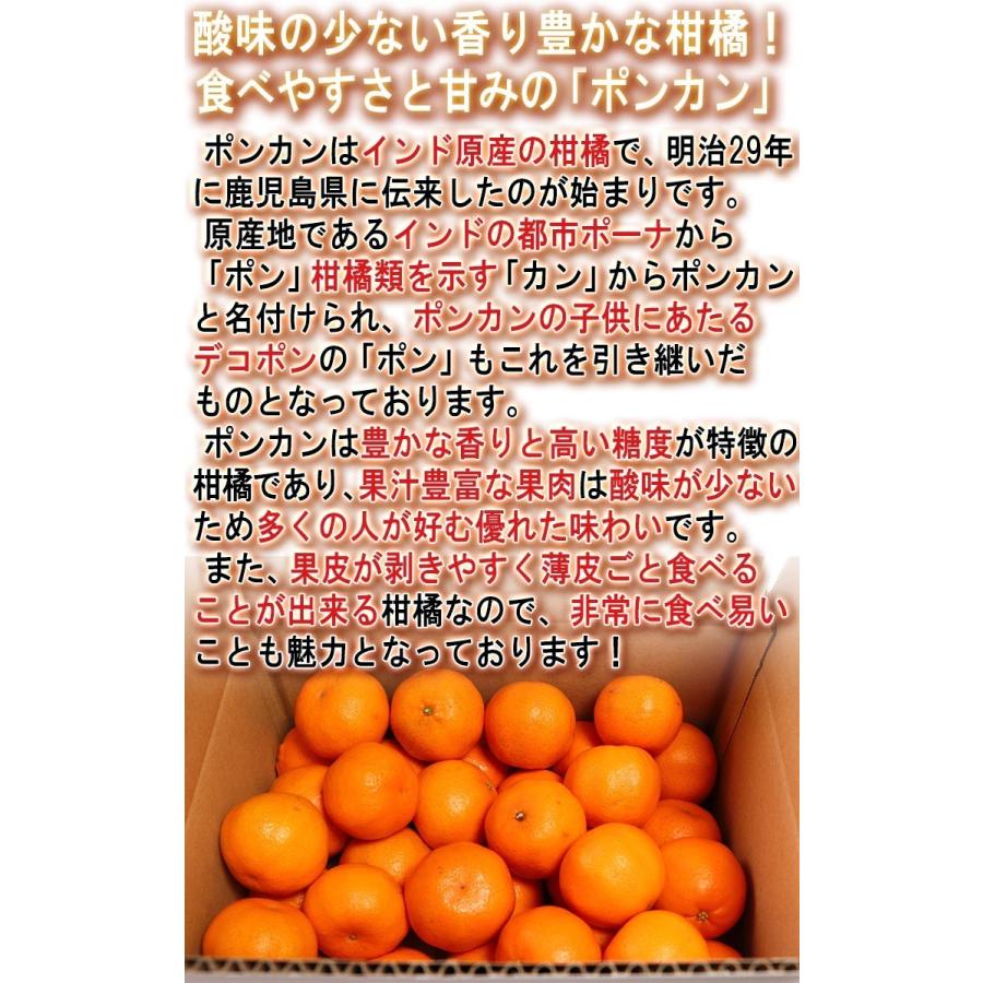 ポンカン 約9〜10kg L〜3Lサイズ 愛媛県産 贈答規格 JA共撰品 控えめな