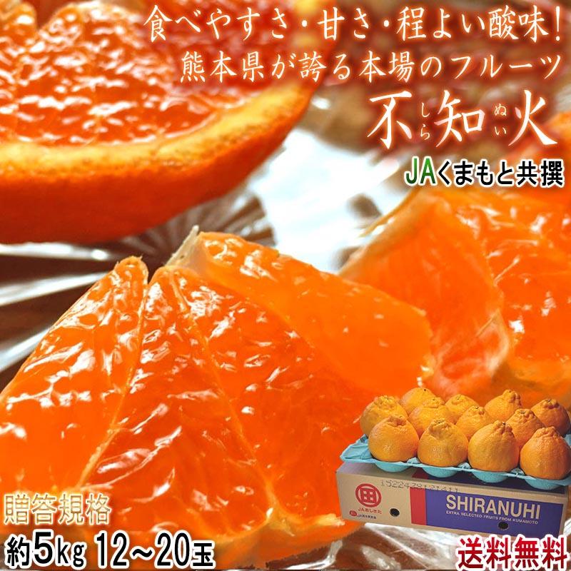不知火 JAくまもと 約5kg 12〜20玉 熊本県産 大玉 贈答規格 不知火 JAくまもと 約5kg 12〜20玉 熊本県産 大玉 贈答規格