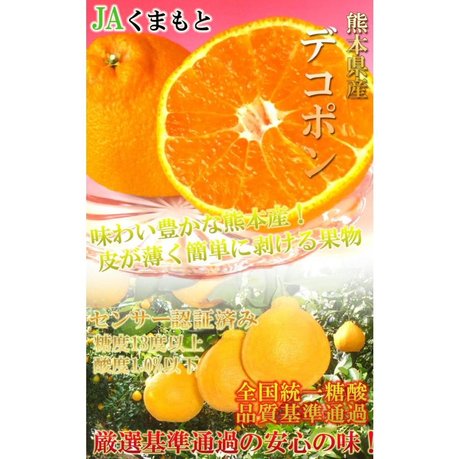 デコポン 熊本県産 4〜6玉 しらぬひ 贈答規格 化粧箱入り JA デコポン 熊本県産 4〜6玉 しらぬひ 贈答規格 化粧箱入り JA