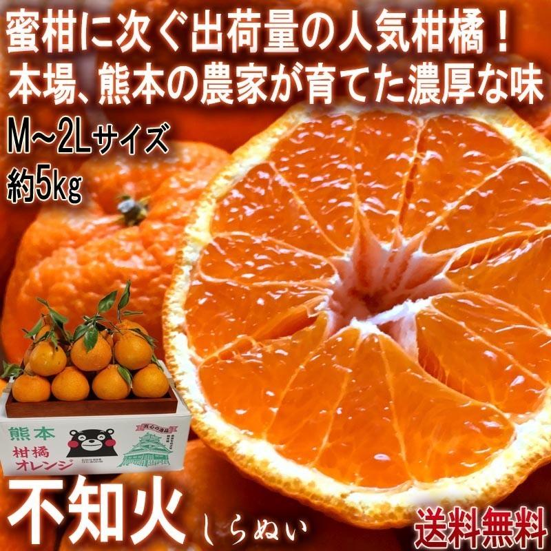 不知火 個人農家産 約5kg M〜2Lサイズ中心 熊本県産 しらぬい 不知火 個人農家産 約5kg M〜2Lサイズ中心 熊本県産 しらぬい