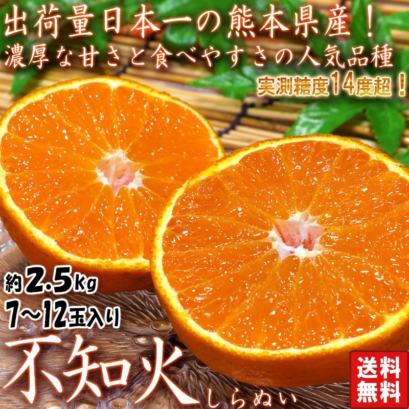 不知火 個人農家産 約2.5kg 6〜12玉入（2.2〜2.7kg） しらぬい 熊本県