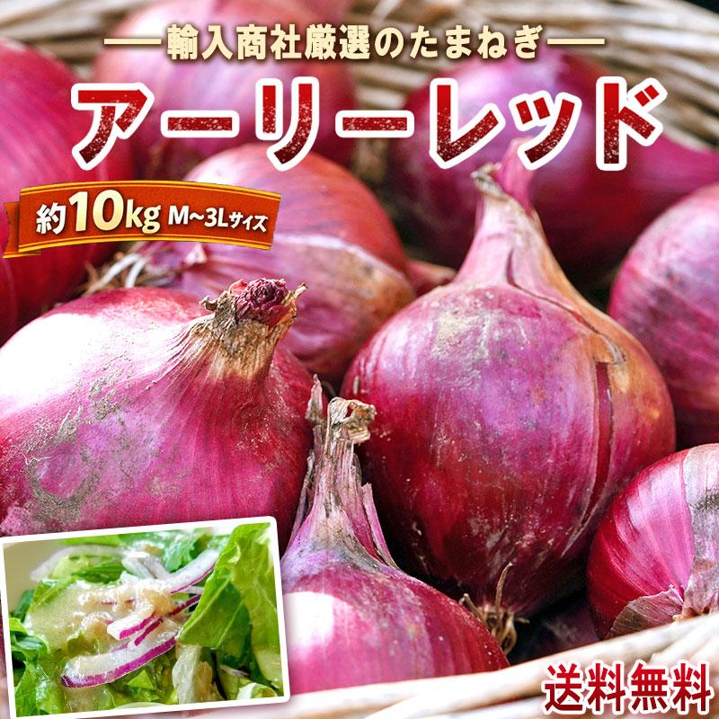 赤玉ねぎ S~Lサイズ 箱込み 20 キロ 食品 赤玉ねぎ S~Lサイズ 箱込み 20 キロ