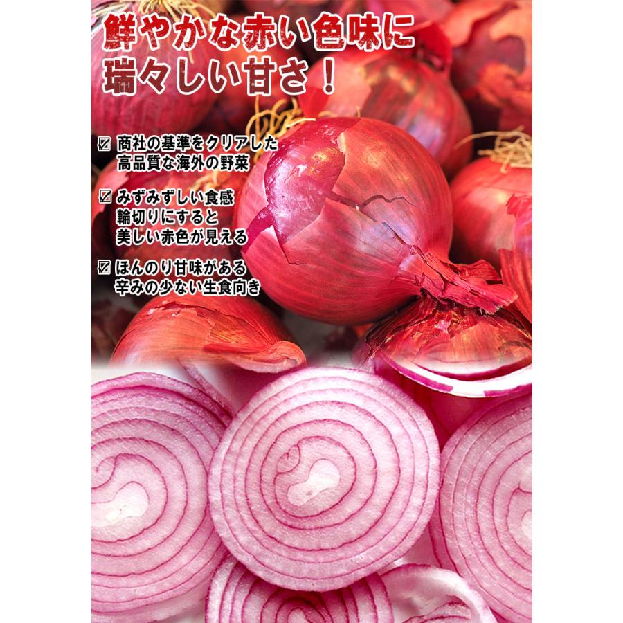 赤玉ねぎ 箱込み約20kg 【公式通販】