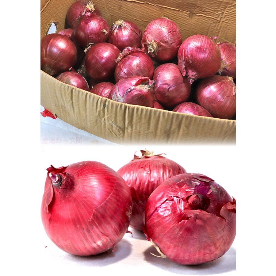 レッド玉葱2Lサイズ20kg レッド玉葱2Lサイズ20kg Amazon.co.jp
