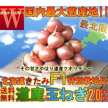 たまねぎ 北海道産北見 岩見 大玉 M 2l大サイズ 玉ねぎ 送料無料 Premium 話題のたまねぎf1 お徳用 大量買い kg たまねぎ 玉葱 タマネギ 676 産地から玄関へ 通販 Yahoo ショッピング