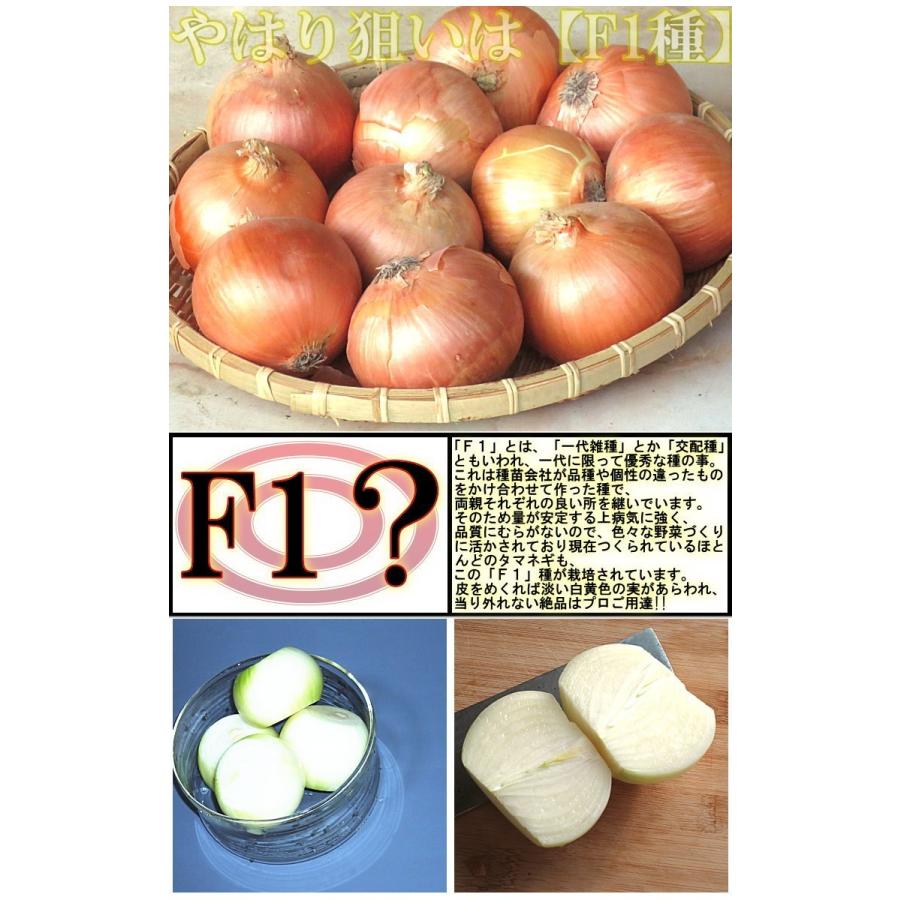 たまねぎ 北海道産北見 岩見 大玉 M 2l大サイズ 玉ねぎ 送料無料 Premium 話題のたまねぎf1 お徳用 大量買い kg たまねぎ 玉葱 タマネギ 676 産地から玄関へ 通販 Yahoo ショッピング