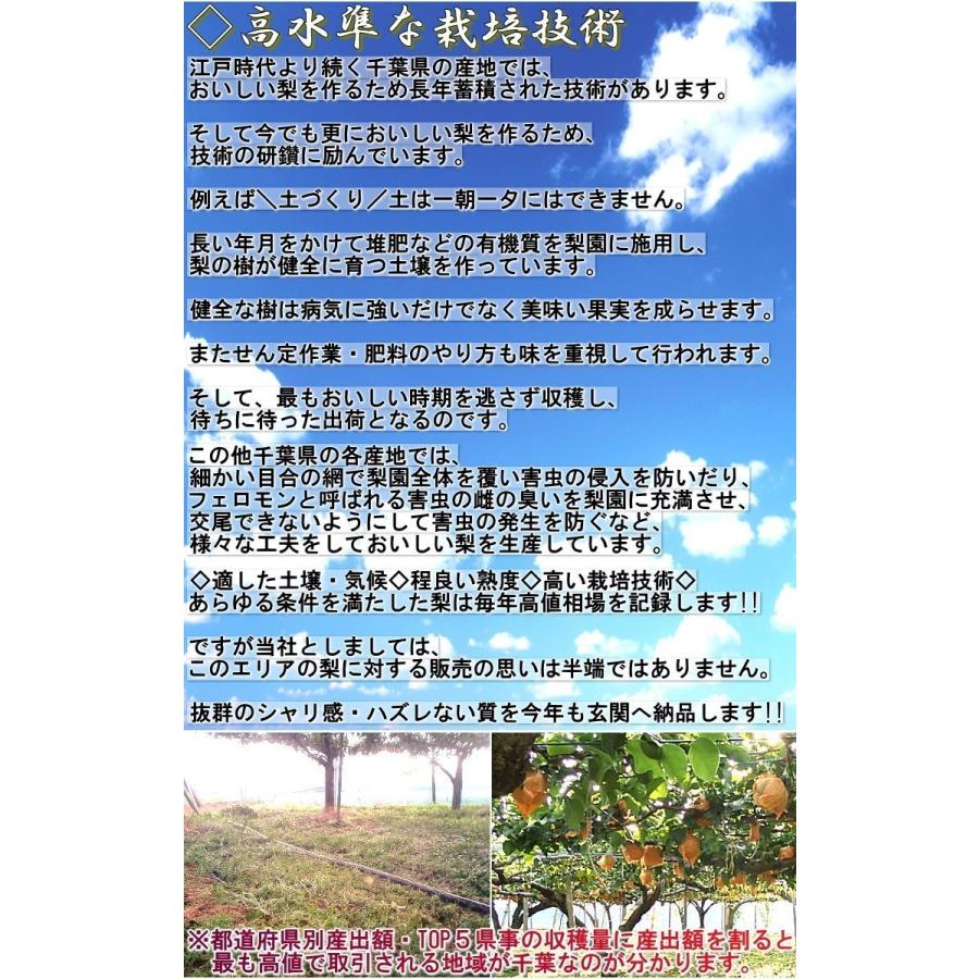 小玉 梨 千葉 約5kg 12〜22玉前後 訳あり品 幸水・豊水・あきづき