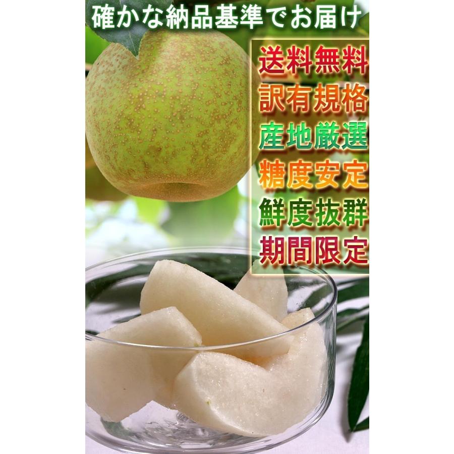 小玉 梨 千葉 約5kg 12〜22玉前後 訳あり品 幸水・豊水・あきづき