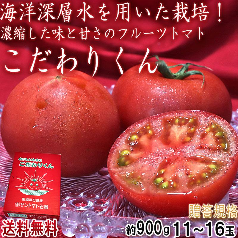 こだわりくん フルーツトマト 約900g 11〜16玉 宮城県産 贈答規格 サン