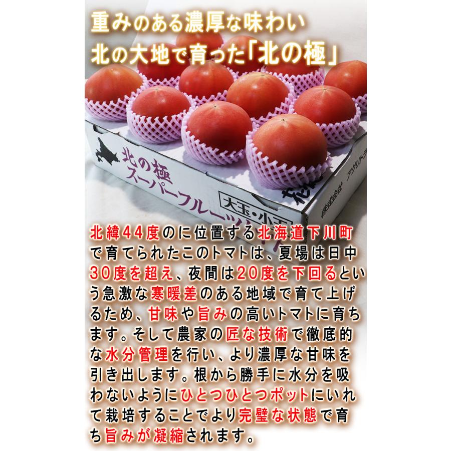 北の極 スーパーフルーツトマト 約1kg S〜Lサイズ 北海道産 贈答規格