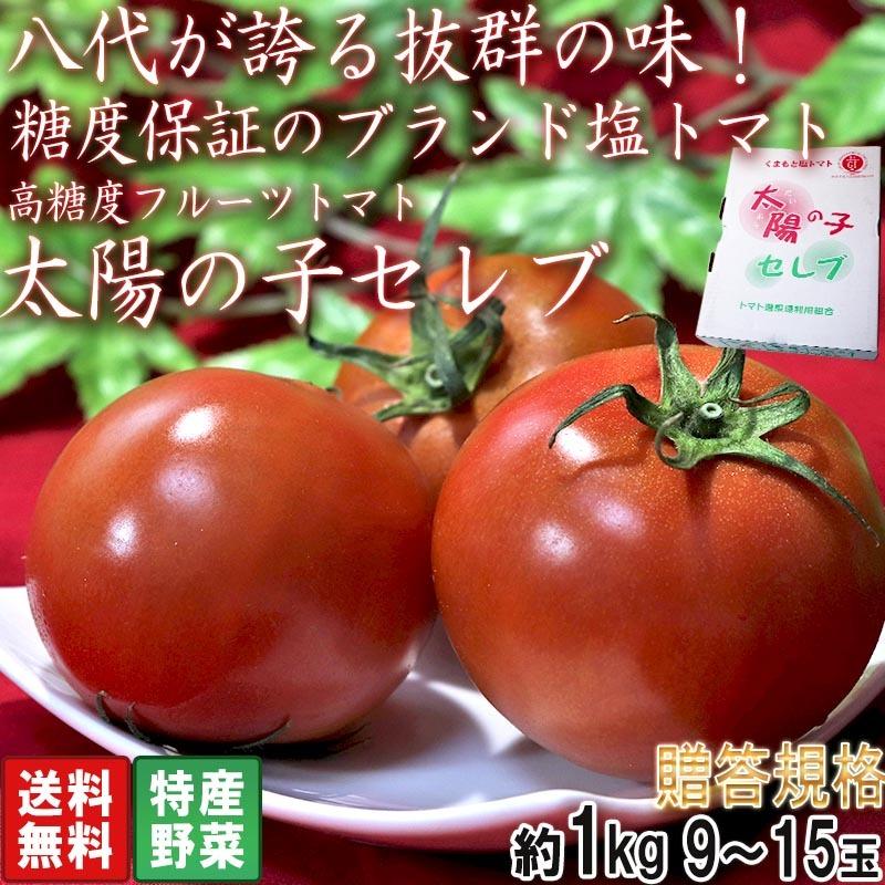 評価 太陽の子セレブ はちべえ塩トマト 約1kg 9 15玉 熊本県産 贈答規格 糖度8度保証の高糖度フルーツトマト Wantannas Go Id