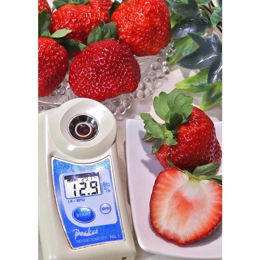 とちあいか いちご 約280g×2パック 栃木県産 贈答規格 JA共撰品 とちあいか いちご 約280g×2パック 栃木県産 贈答規格 JA共撰品
